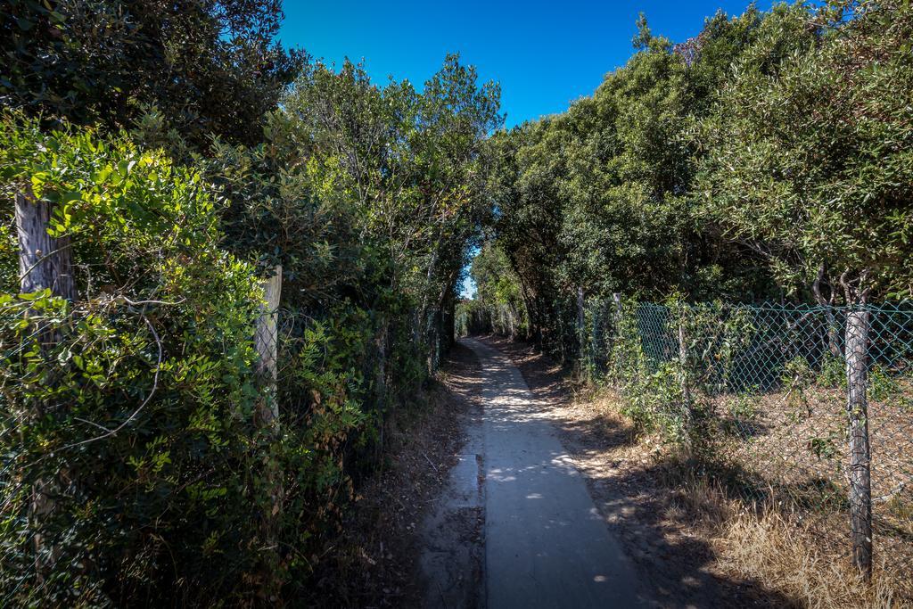 Camping Internazionale Etruria Castiglione della Pescaia Exterior foto